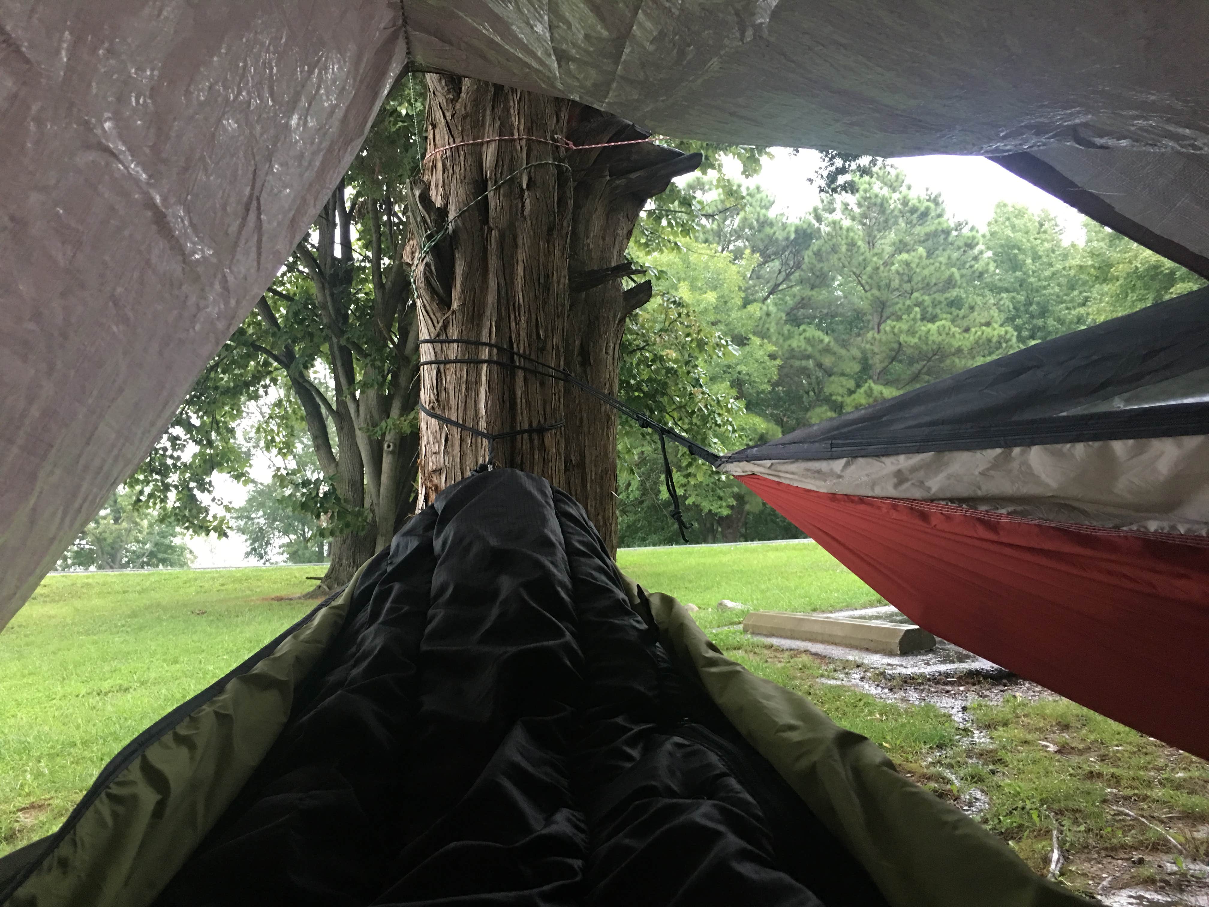 Jonathan W.'s photo at Gun Creek near Johnsonville, IL