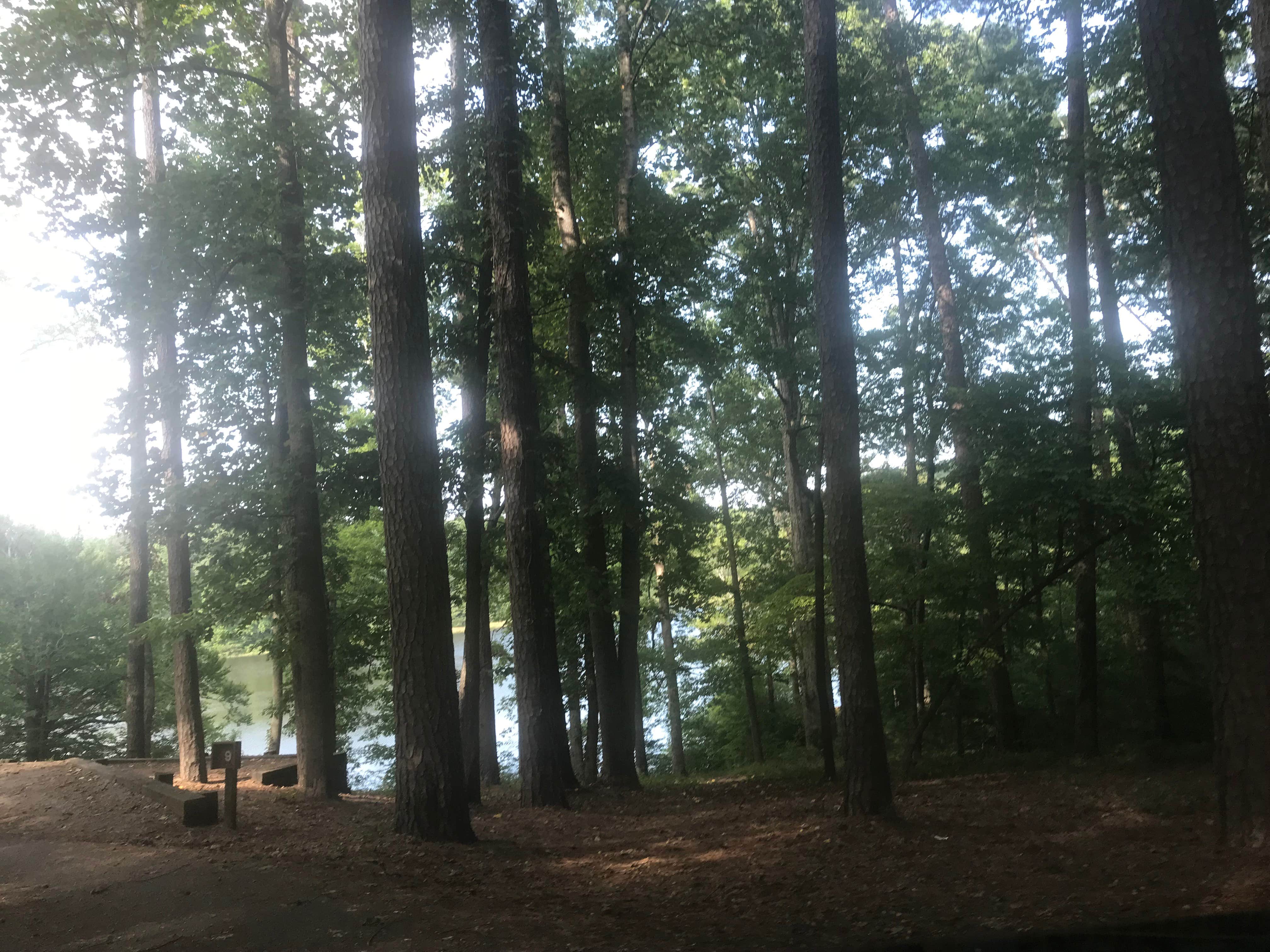 Camper submitted image from Chickasaw State Park Campground - 2