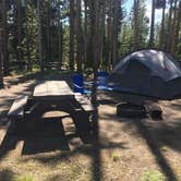 Review photo of Grant Village Campground — Yellowstone National Park by Sarah R., August 25, 2018