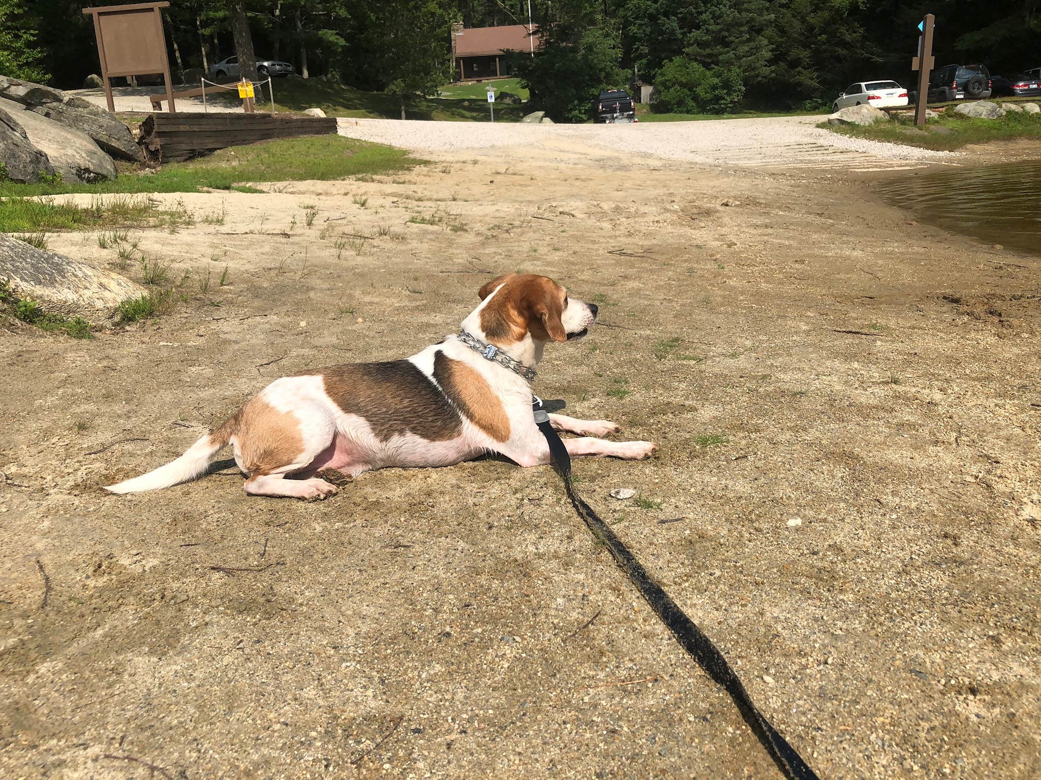 Jessica W.'s photo of camping with pets at George Washington State Campground near Buffumville Lake