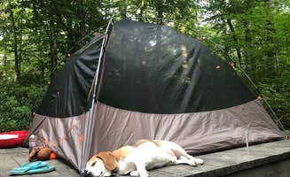 Jessica W.'s photo at George Washington State Campground near Thompson, CT