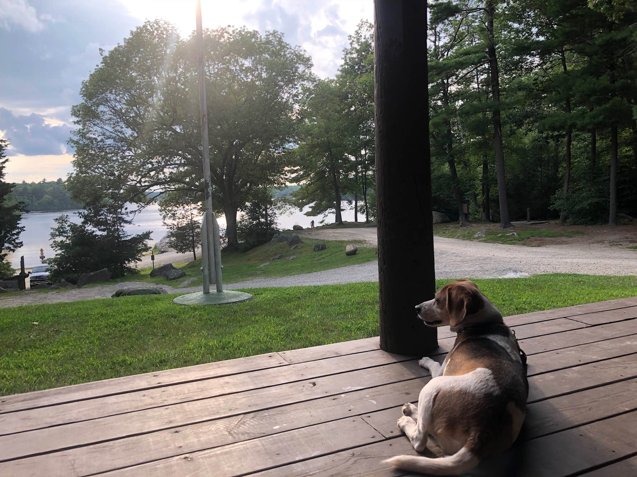Jessica W.'s photo of camping with pets at George Washington State Campground near Westville Lake