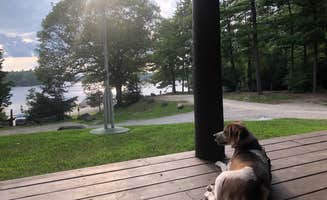 Jessica W.'s photo of camping with pets at George Washington State Campground near Buffumville Lake