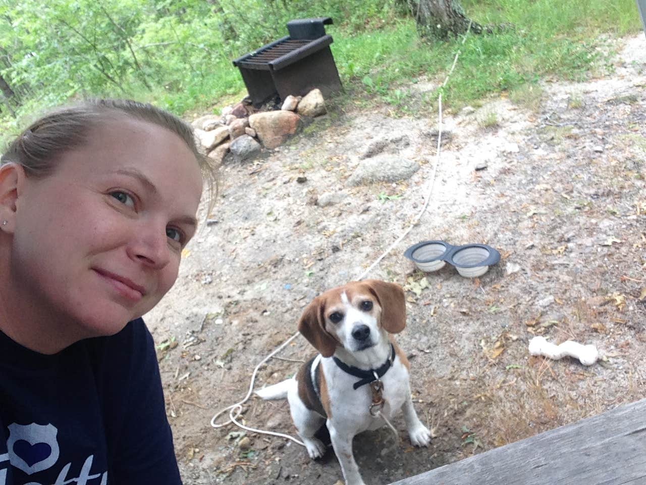 Camper-submitted photo at Shawme Crowell State Forest Campground near Rockland, MA