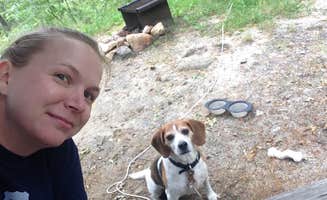 Jessica W.'s photo of camping with pets at Shawme Crowell State Forest Campground near Kingston, MA