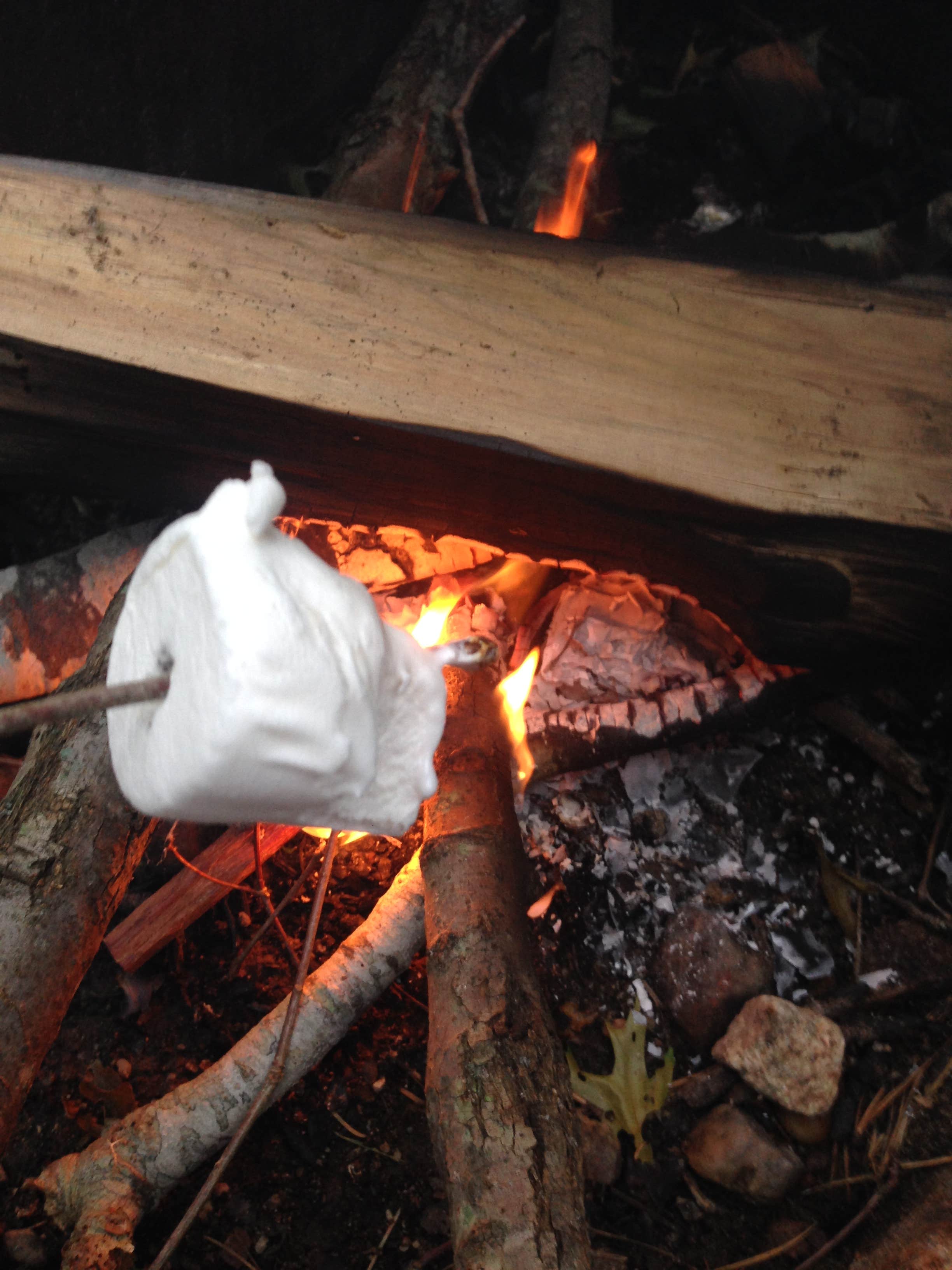 Camper-submitted photo at Shawme Crowell State Forest Campground near Rockland, MA