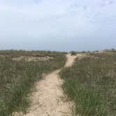 Review photo of Nordhouse Dunes Wilderness by Jennifer O., August 25, 2018