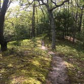 Review photo of Nordhouse Dunes Wilderness by Jennifer O., August 25, 2018