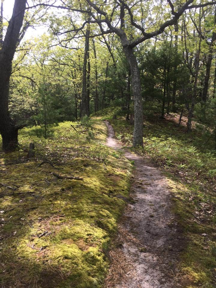 Camper submitted image from Nordhouse Dunes Wilderness - 3