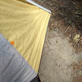 Review photo of Mount St. Helens Dispersed Camping by Danielle S., August 25, 2018