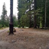 Review photo of Mount St. Helens Dispersed Camping by Danielle S., August 25, 2018