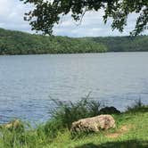 Review photo of Lake of the Ozarks State Park Campground by Shannon G., August 25, 2018