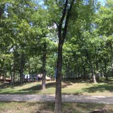 Review photo of Lake of the Ozarks State Park Campground by Shannon G., August 25, 2018