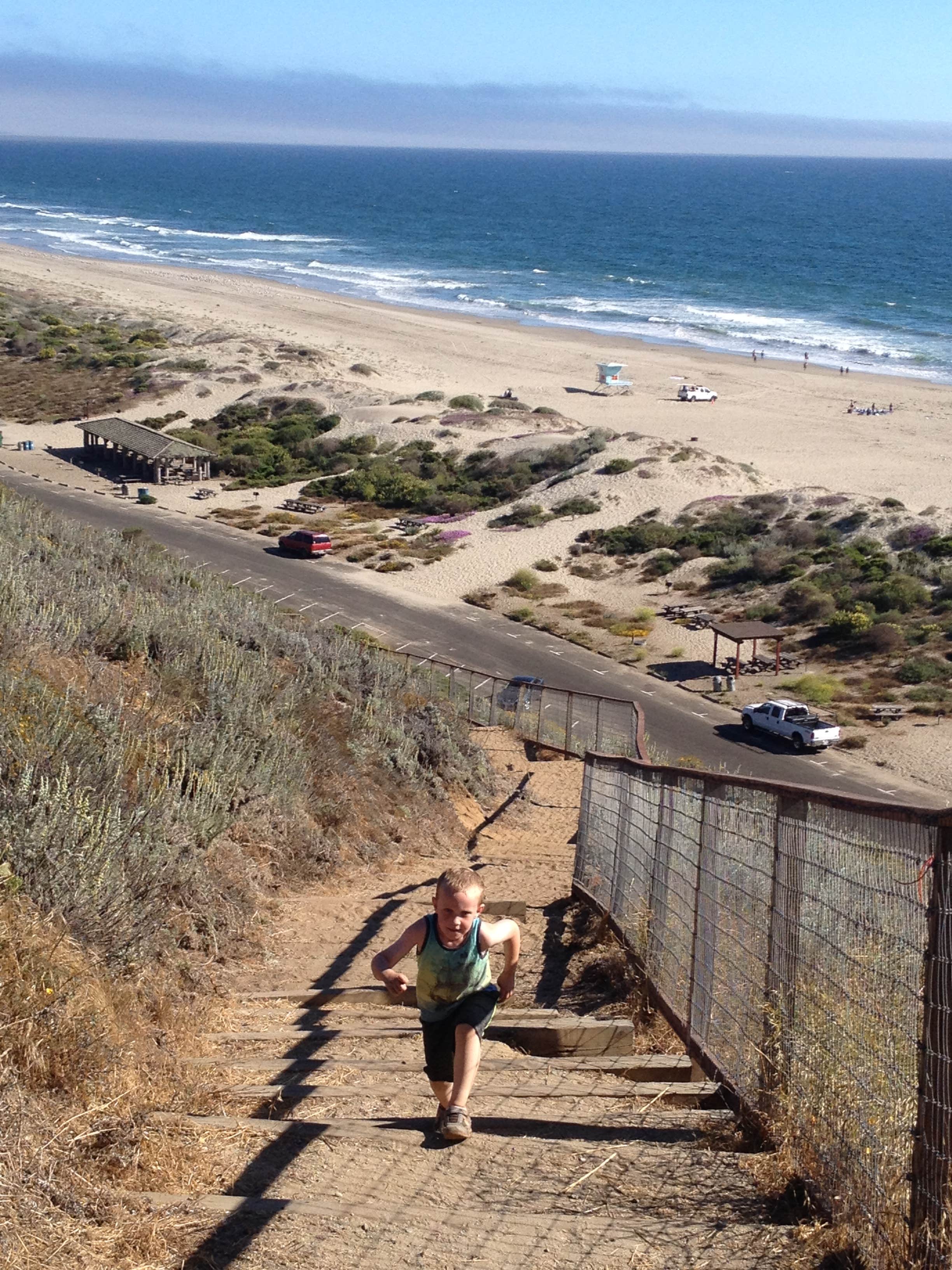 Camper submitted image from Sunset State Beach - 1