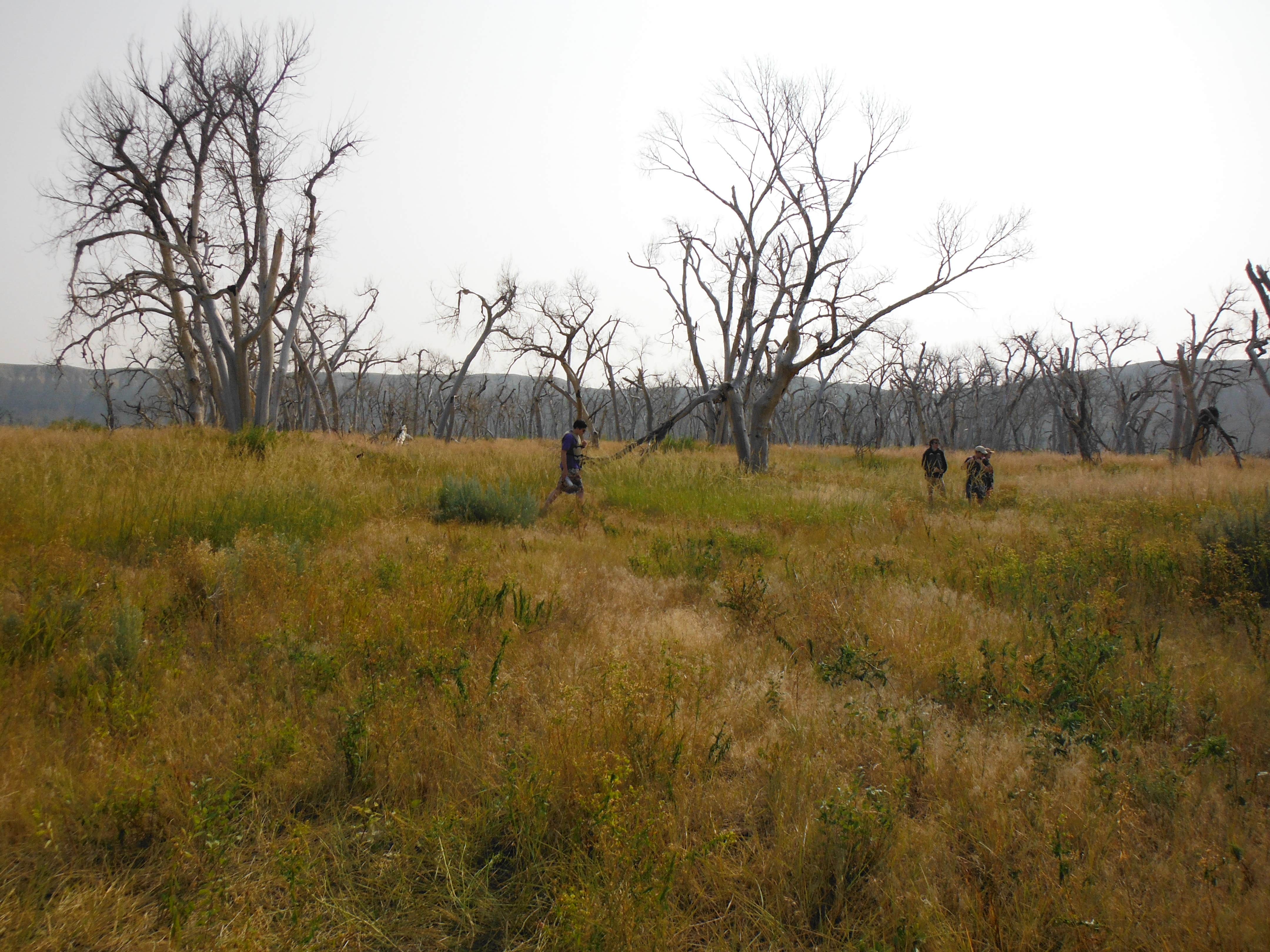 Camper-submitted photo at Evans Bend Primitive Boat Camp near Black Eagle, MT