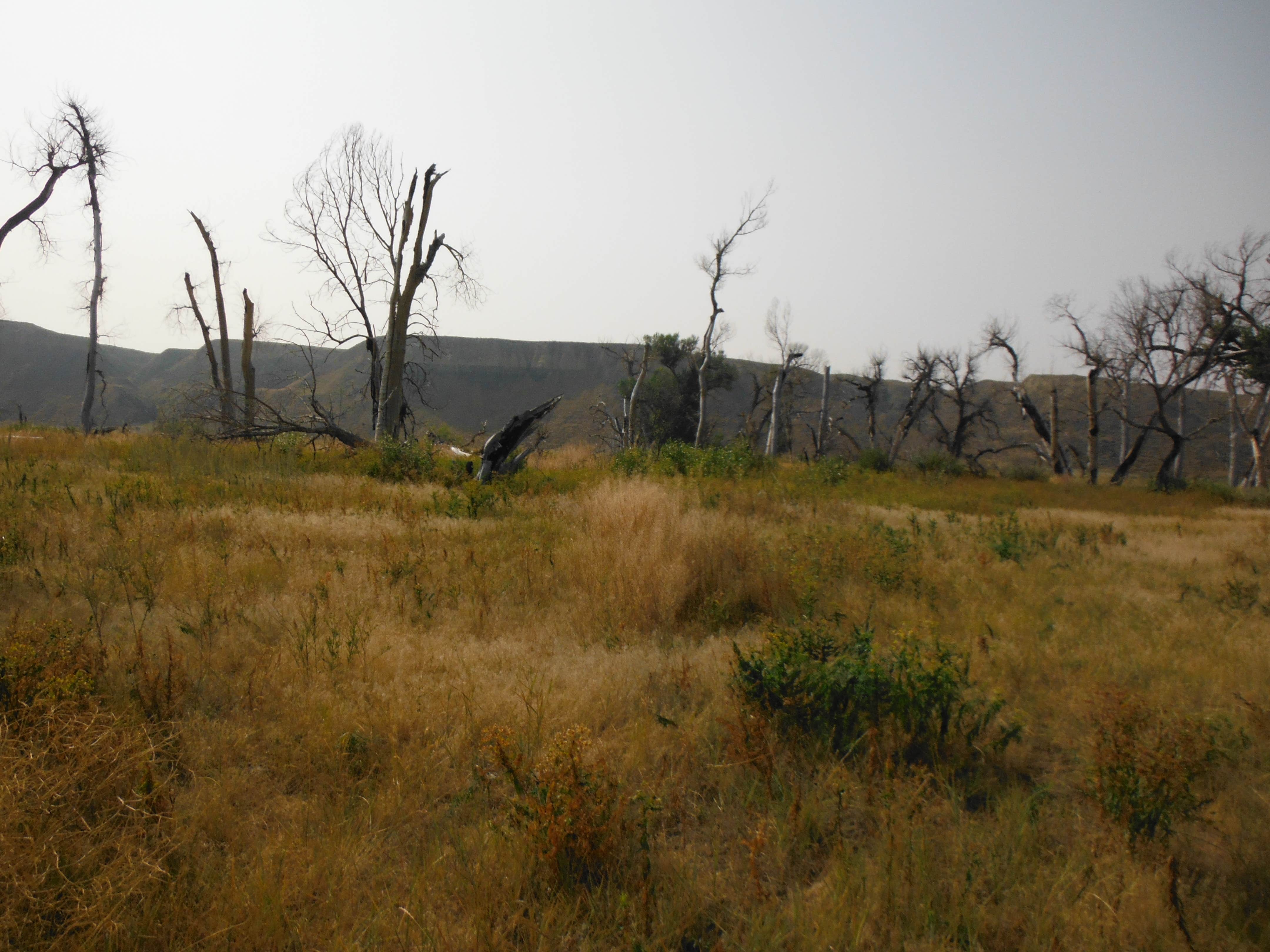 Camper-submitted photo at Evans Bend Primitive Boat Camp near Black Eagle, MT
