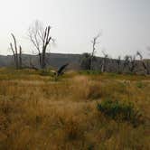 Review photo of Evans Bend Primitive Boat Camp by Dexter I., August 25, 2018