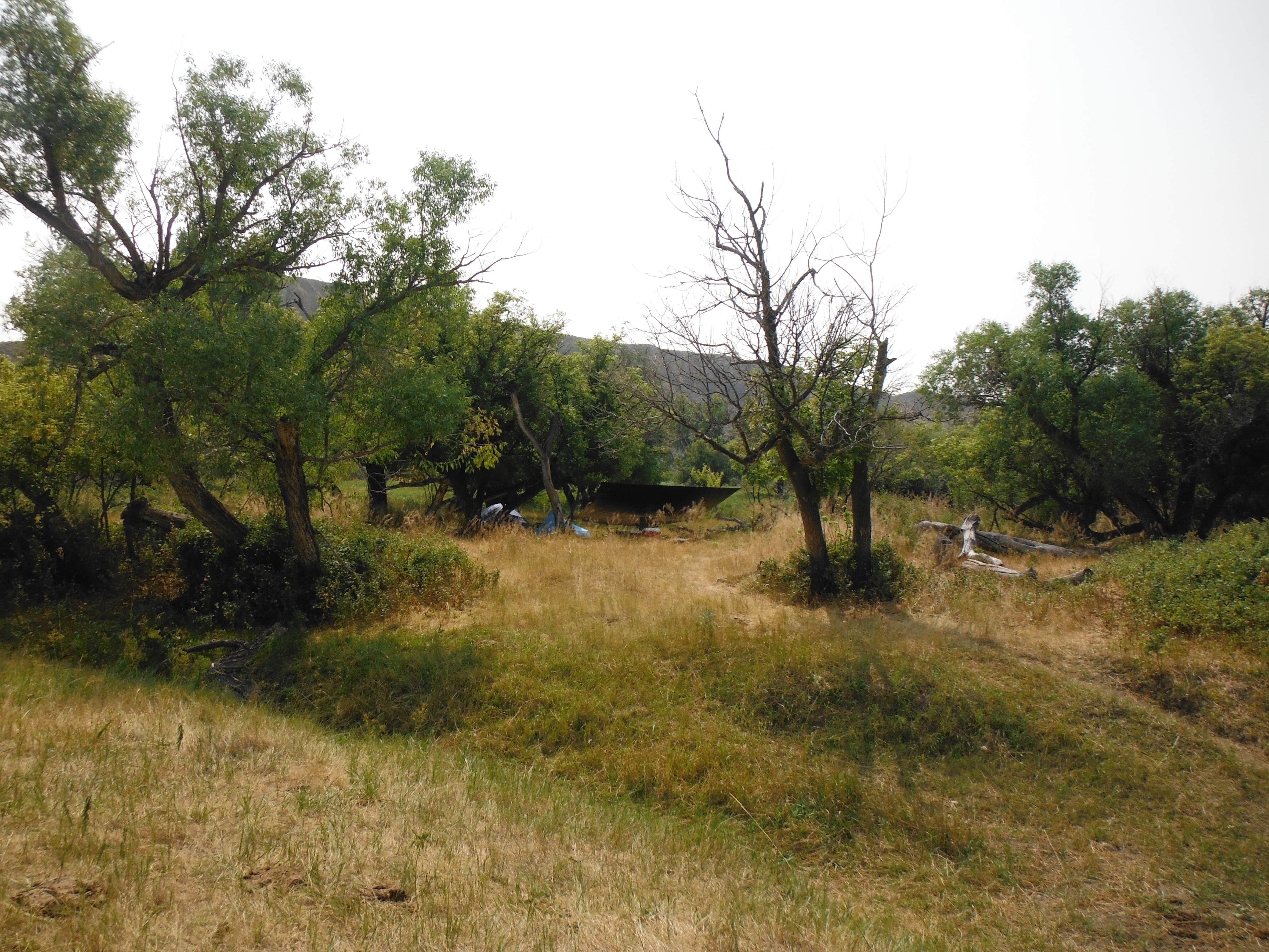 Camper submitted image from Senieur's Reach Primitive Boat Camp - 2