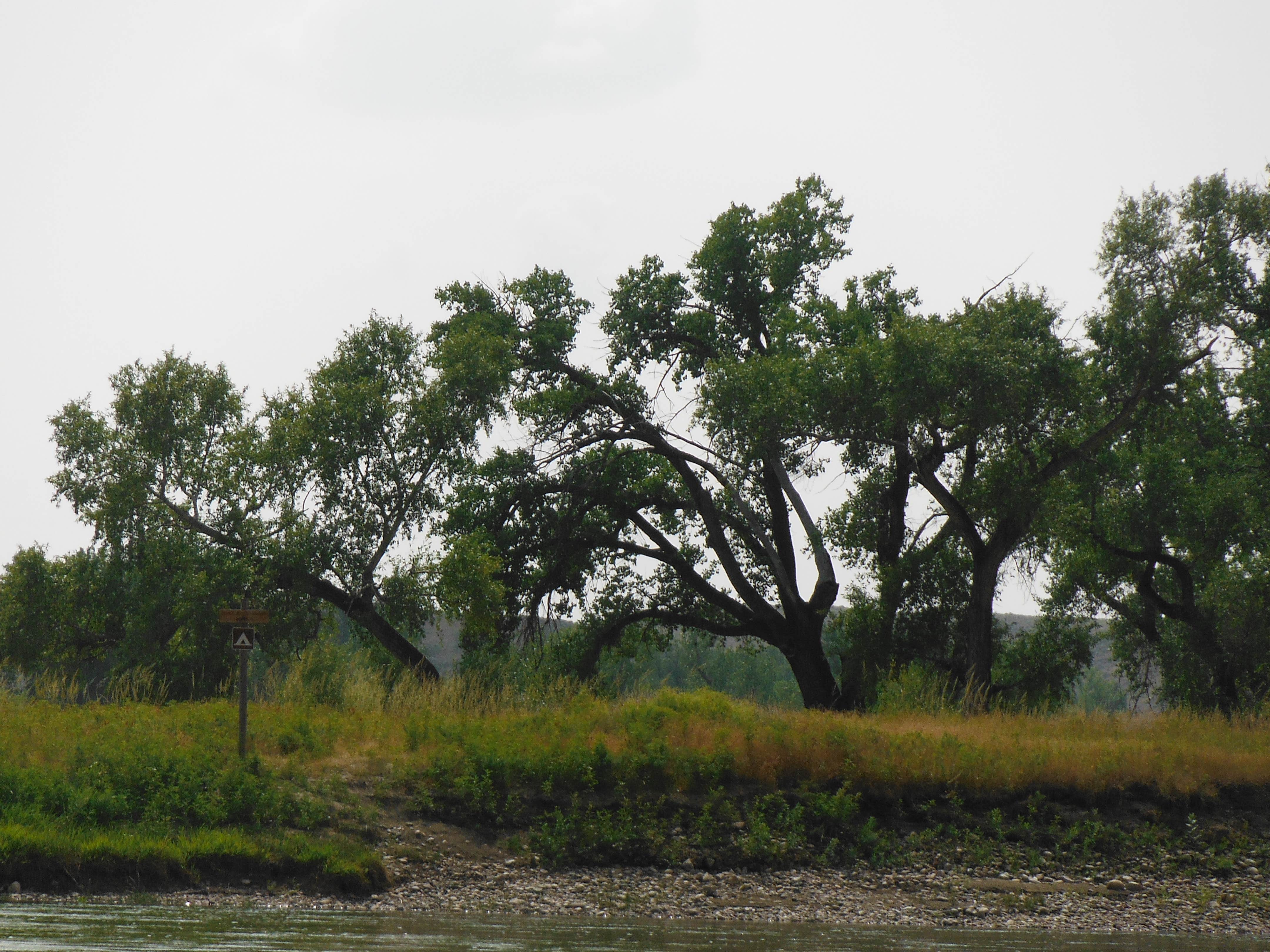 Camper submitted image from Black Bluff Rapids Primitive Boat Camp - 1