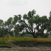 Review photo of Black Bluff Rapids Primitive Boat Camp by Dexter I., August 25, 2018