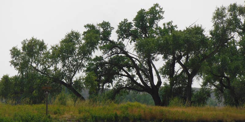 Camper submitted image from Black Bluff Rapids Primitive Boat Camp