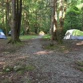 Review photo of Big Creek Campground — Great Smoky Mountains National Park by Cindy A., August 25, 2018