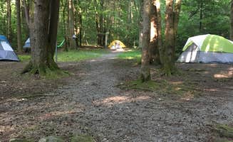 Cindy A.'s photo at Big Creek Campground — Great Smoky Mountains National Park near Hartford, TN