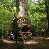 Review photo of Big Creek Campground — Great Smoky Mountains National Park by Cindy A., August 25, 2018