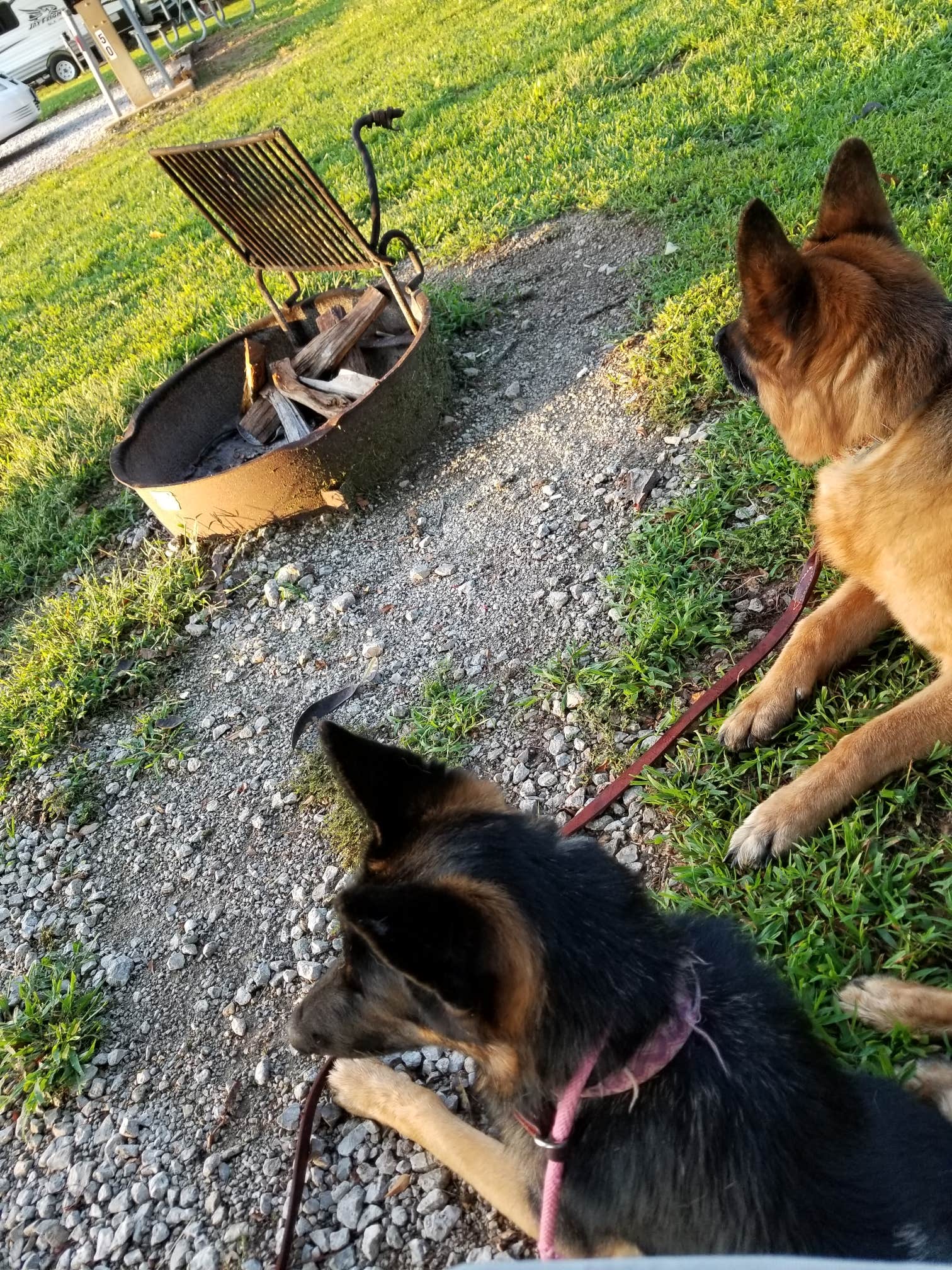 Camper-submitted photo at Lake Jacomo - Fleming Park near Independence, MO