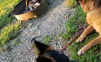 Chris W.'s photo of camping with pets at Lake Jacomo - Fleming Park near Excelsior Springs, MO