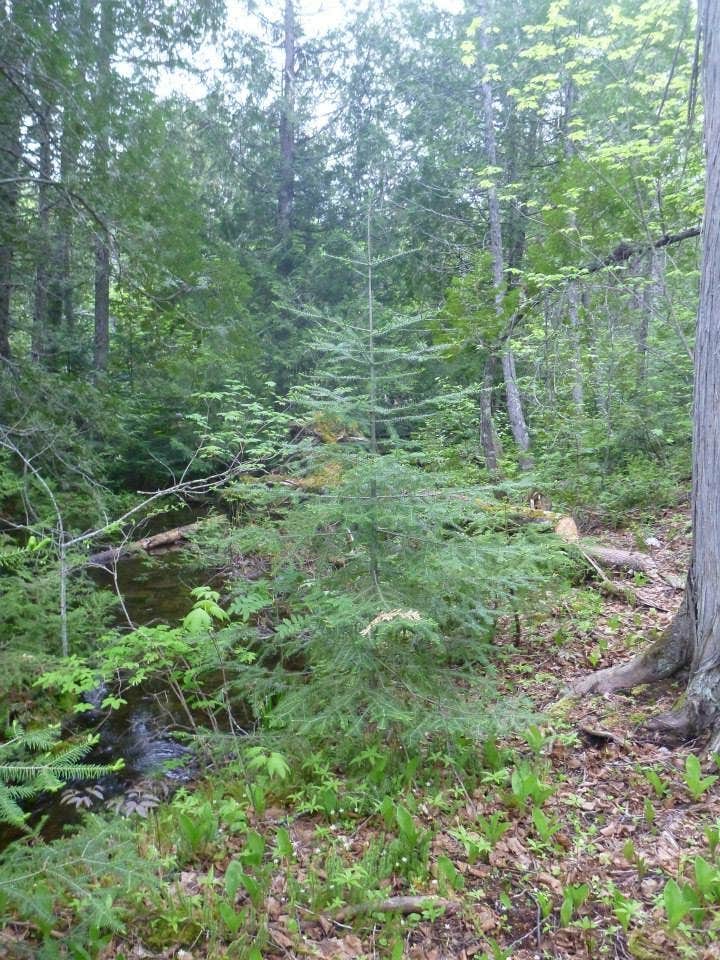Camper-submitted photo at Cross Timbers — Lake Mineral Wells State Park near Granbury, TX