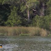 Review photo of Cedar Hill State Park Campground by Jill C., August 25, 2018