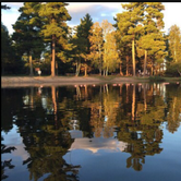 Review photo of Bear Head Lake State Park Campground by Mark S., August 25, 2018