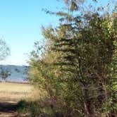 Review photo of Doctors Creek Unit - Cooper Lake State Park by Jill C., August 25, 2018