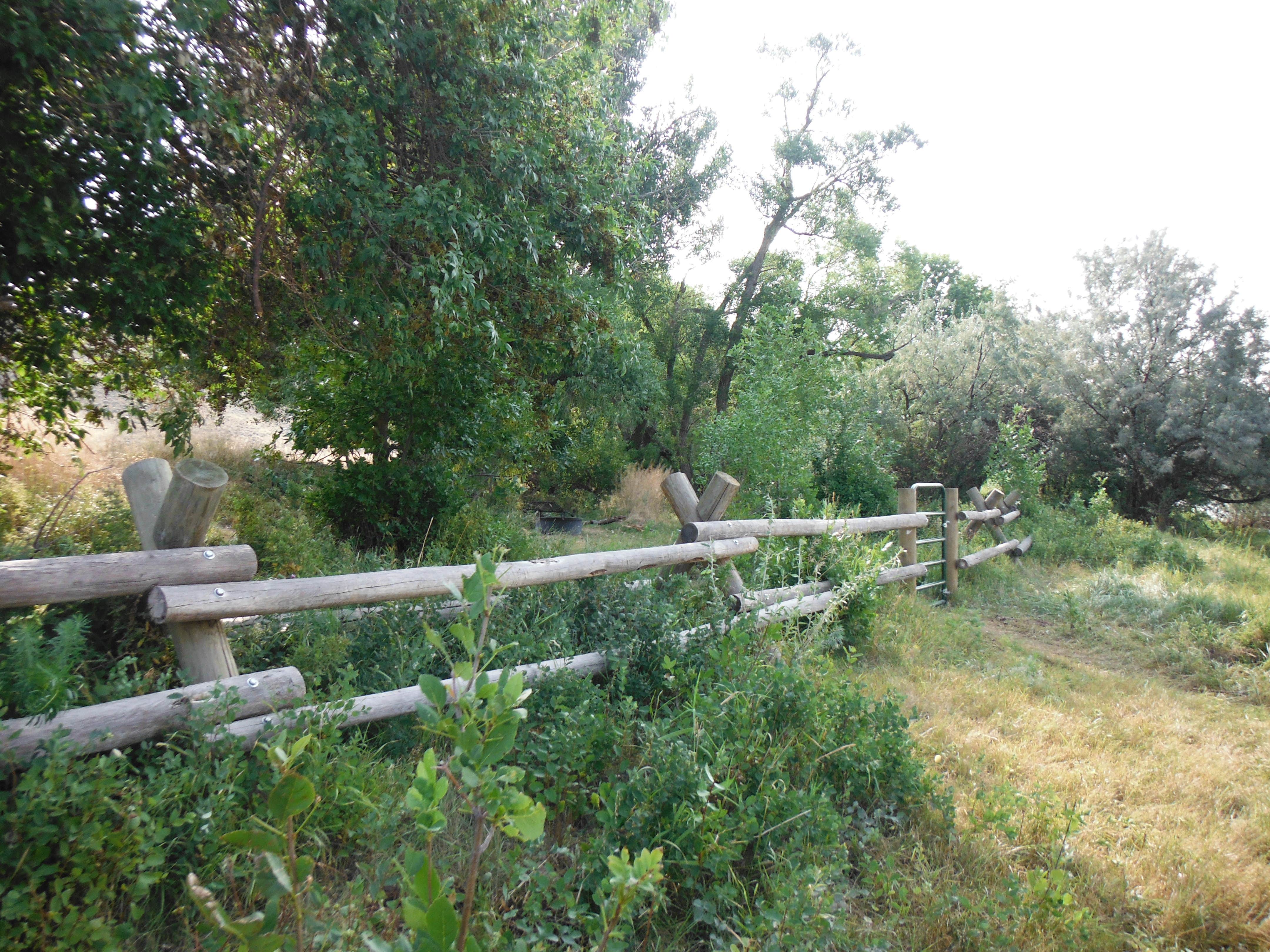Camper-submitted photo at Lone Tree Campground near Box Elder, MT