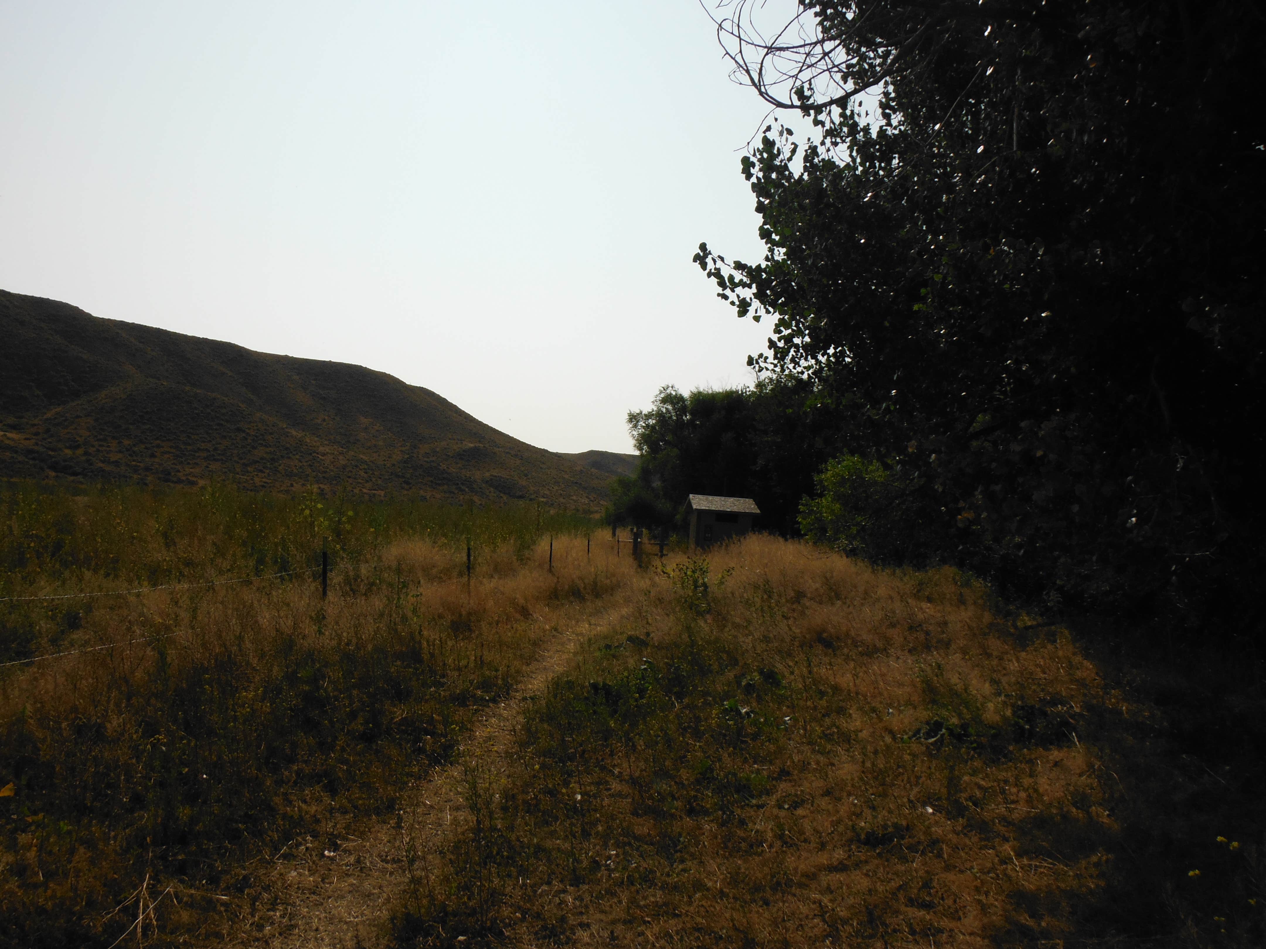 Camper-submitted photo at Lone Tree Campground near Box Elder, MT