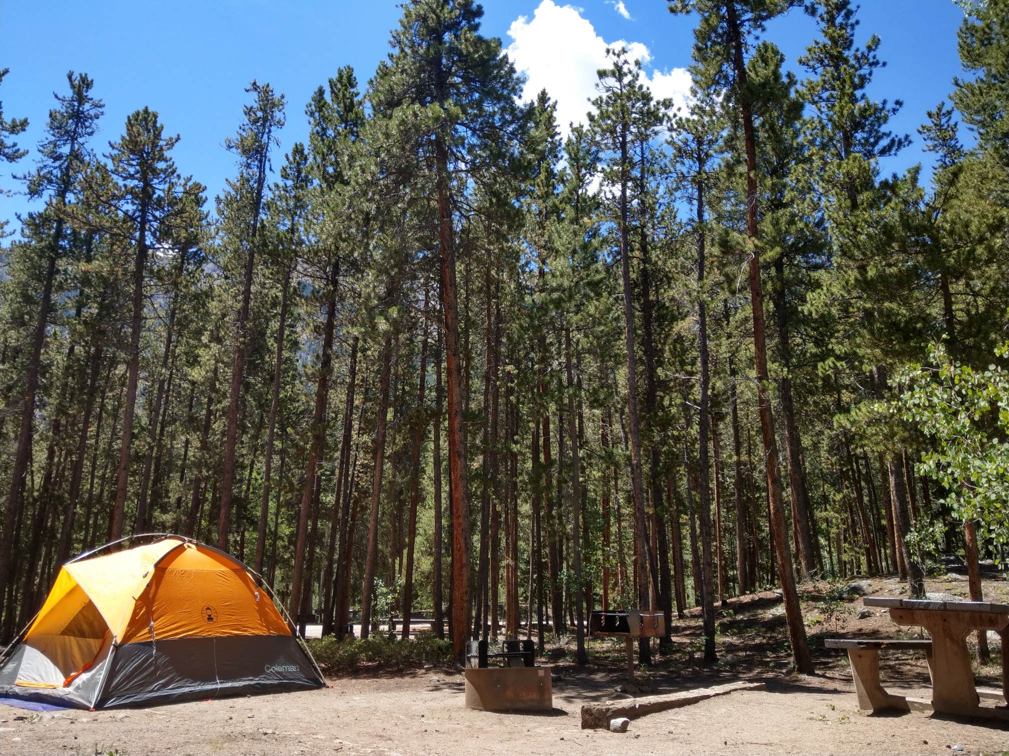 Camping near Parry Peak — Psicc: Twin Peaks Campground, Granite, Colorado