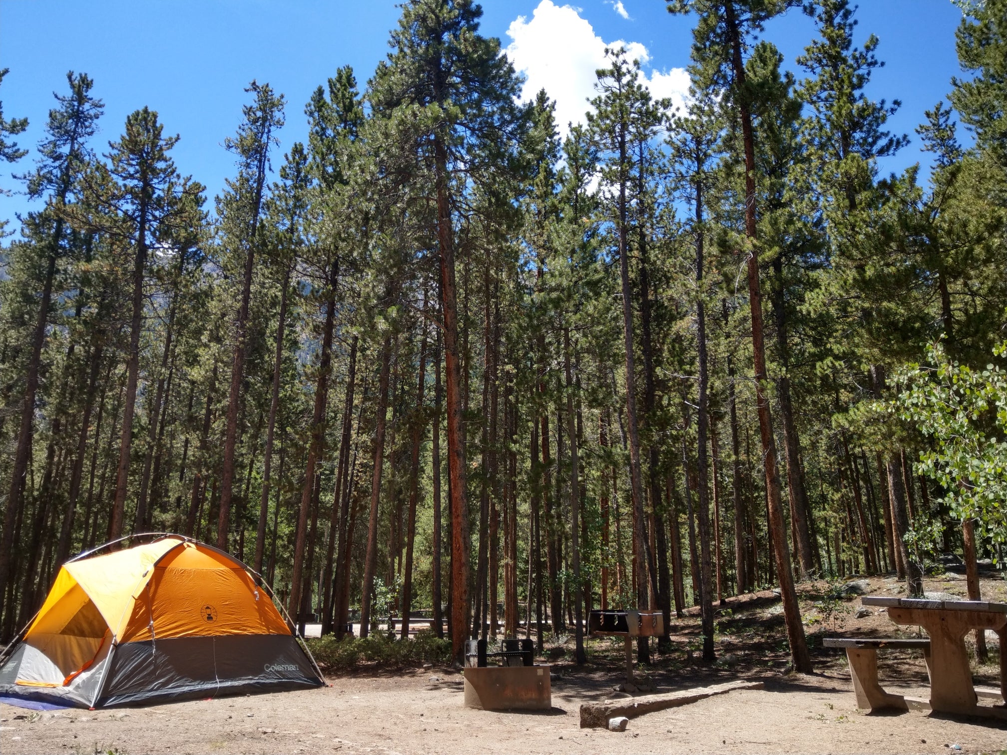 Camper submitted image from Twin Peaks Campground - 1