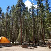 Review photo of Twin Peaks Campground by shelby G., August 25, 2018