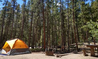 Camping near Crescent Mining Camp: Twin Peaks Campground, Granite, Colorado