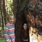 Review photo of Ben Ries Campground — Butano State Park - CLOSED INDEFINITELY by Kate L., July 31, 2016
