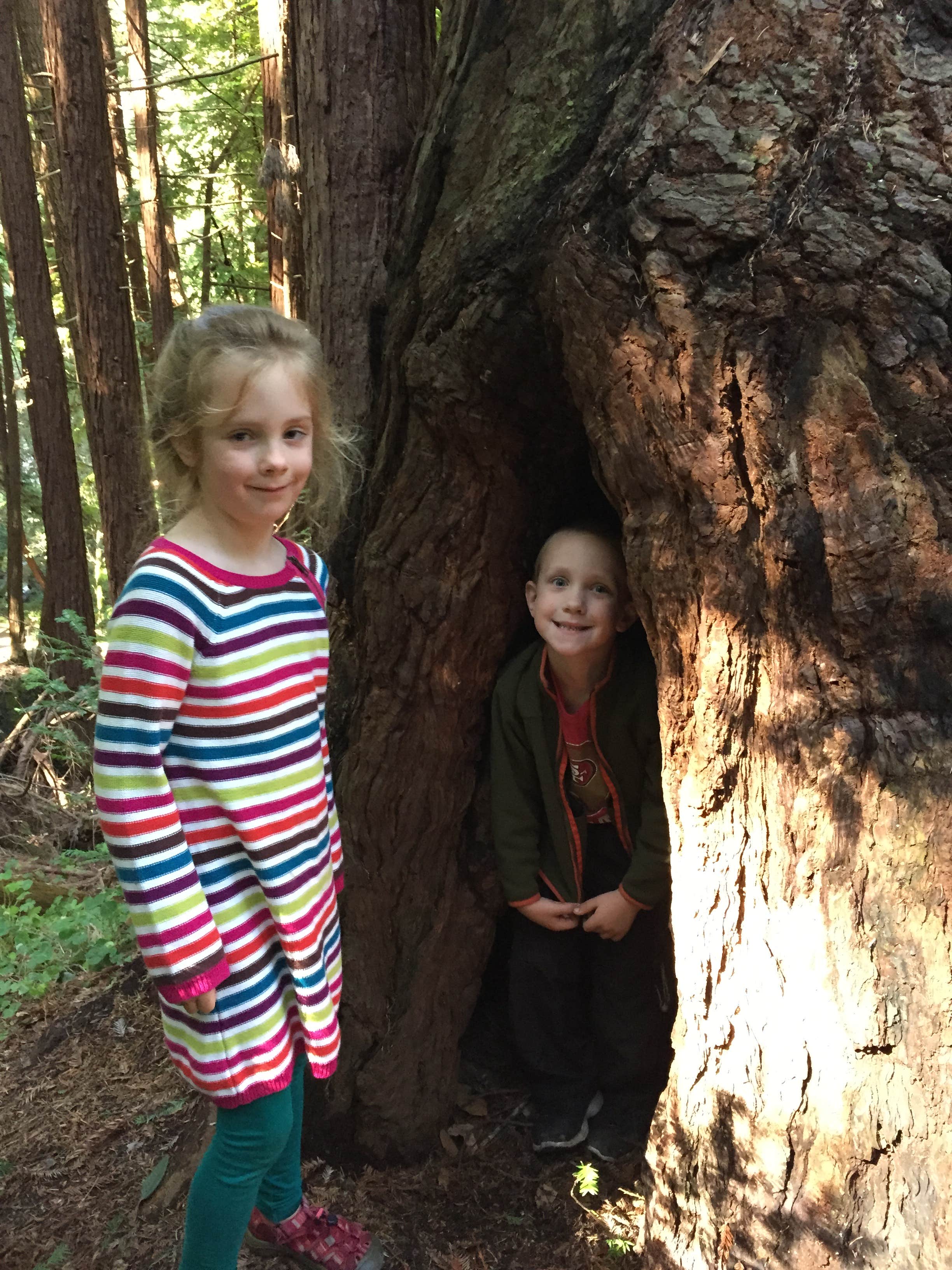 Camper submitted image from Ben Ries Campground — Butano State Park - CLOSED INDEFINITELY - 3