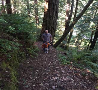 Camper-submitted photo from Henry Cowell Redwoods State Park Campground