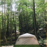 Review photo of Trackrock Campground & Cabins by Jacey , August 25, 2018