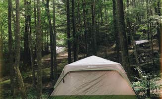 Jacey's photo at Trackrock Campground & Cabins near Blairsville, GA