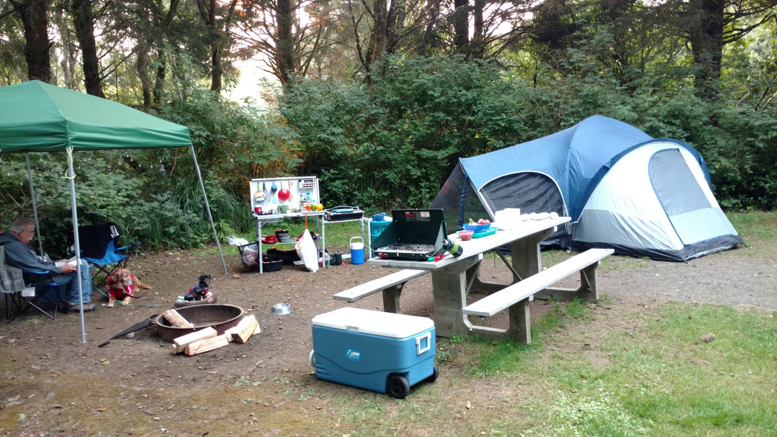 Erinn B.'s photo at Ocean City State Park Campground near Westport, WA