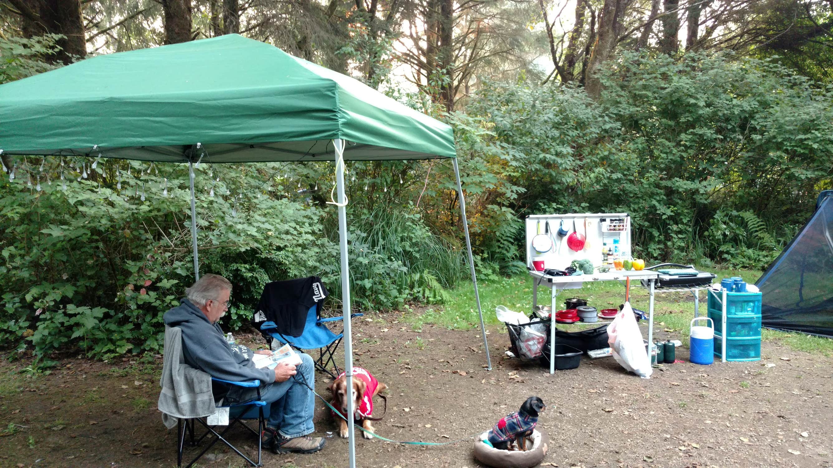 Erinn B.'s photo at Ocean City State Park Campground near Copalis Crossing, WA
