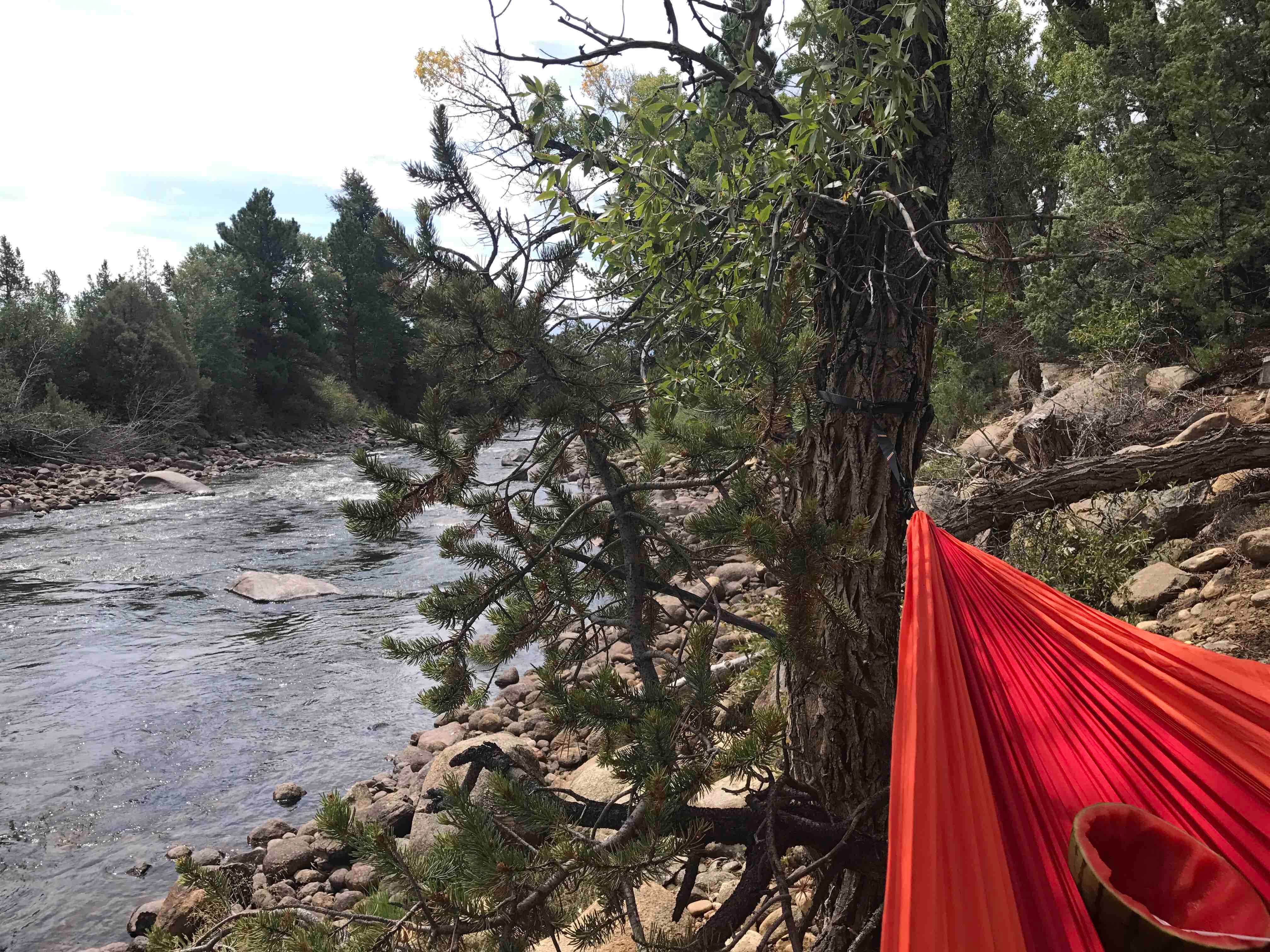 Camper submitted image from Railroad Bridge - Arkansas Headwaters Recreation Area - 2