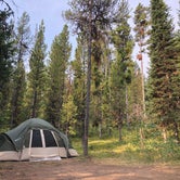 Review photo of Lizard Creek Campground - Grand Teton National Park by Robin P., August 25, 2018