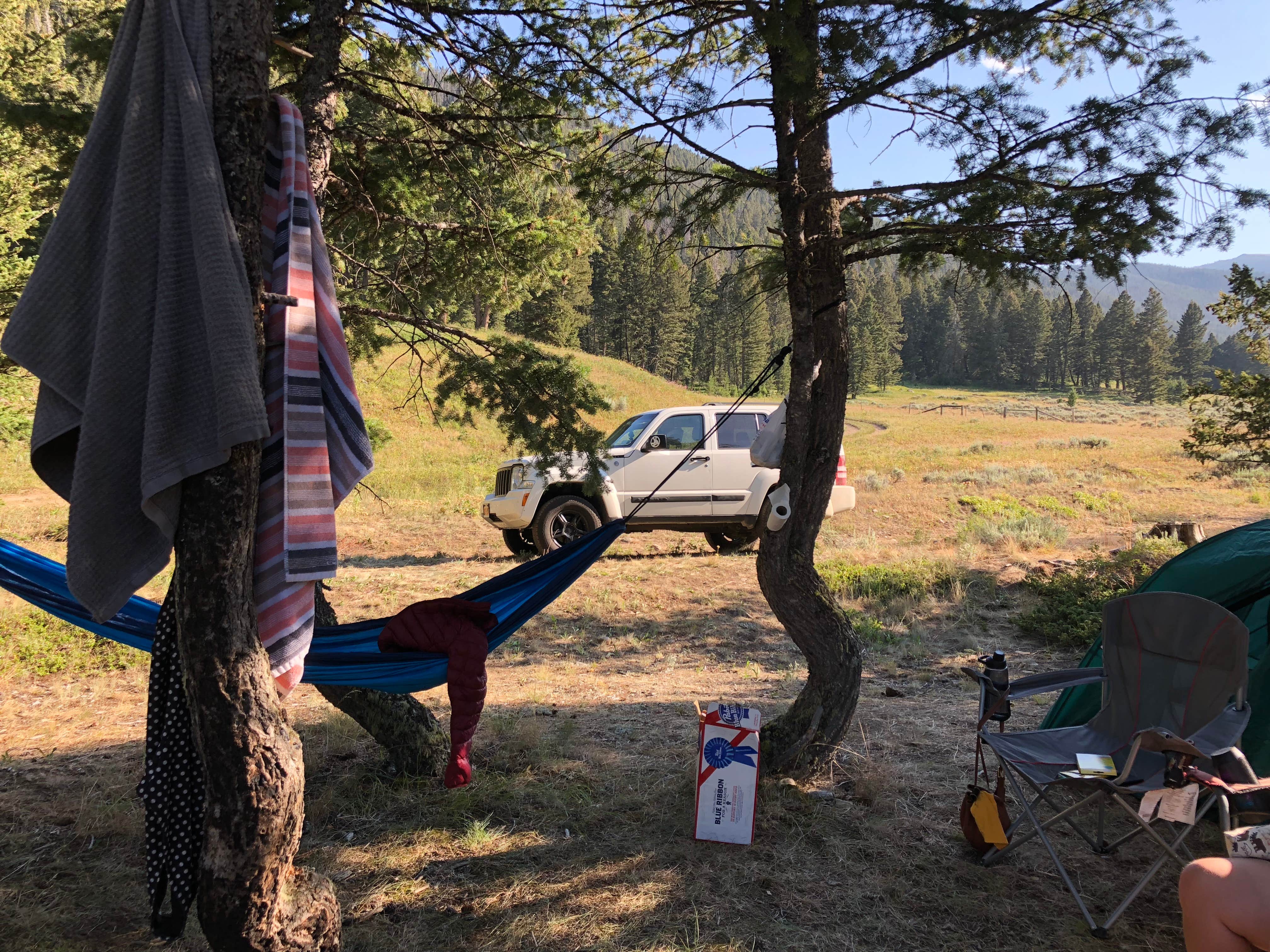Robin P.'s photo at Potosi Campground near Ennis, MT